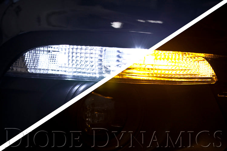 DD0227_ZZ1.jpg