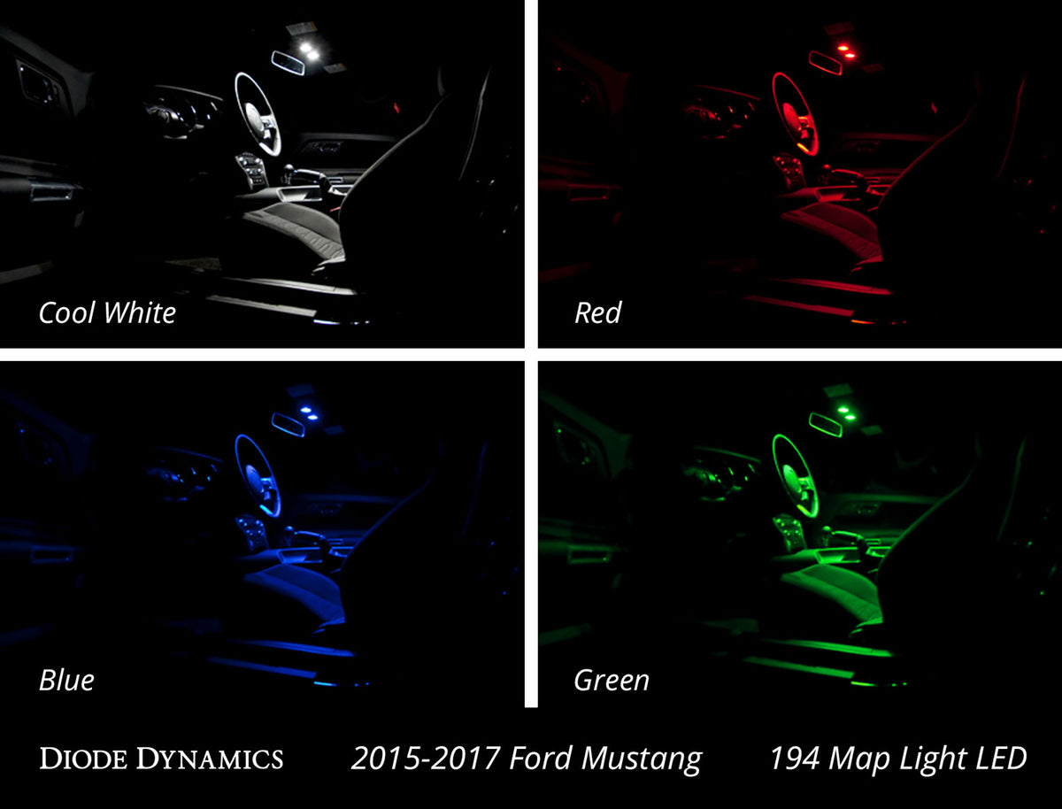 DD0223_ZZ5.jpg