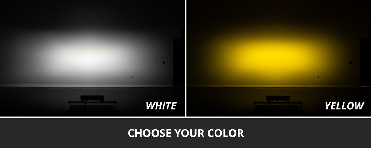 DD7957_ZZ5.jpg