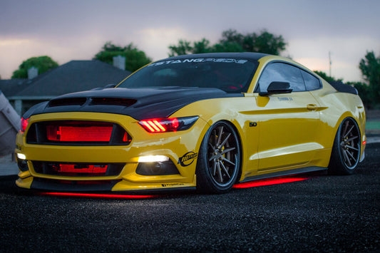 DD0442_P04.jpg